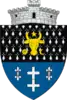 Coat of arms of Putna