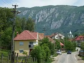 View of Sălciua