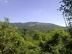 Măgura Priei Peak&nbsp;[ro]