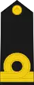Sub Lieutenant