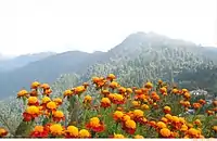 Rache-La from Kagyu Thek Chen Ling Monastery Year- 2009