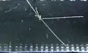 Alpha particles from a Radium source in a cloud chamber