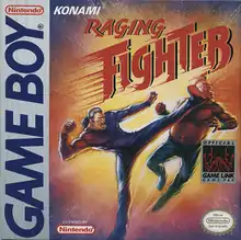 Raging Fighter