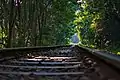 Railway through the forest