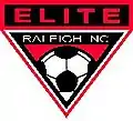 2006 Raleigh Elite logo