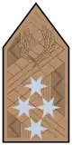 Hungarian Colonel General Rank Insignia