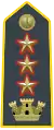 Colonel, commanding officer (Colonel-Commandant)