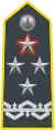 Shoulder insignia of a comandante generale of the Guardia di Finanza