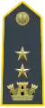 Lieutenant-Colonel.