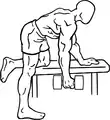 Dumbbell hyperextension row start