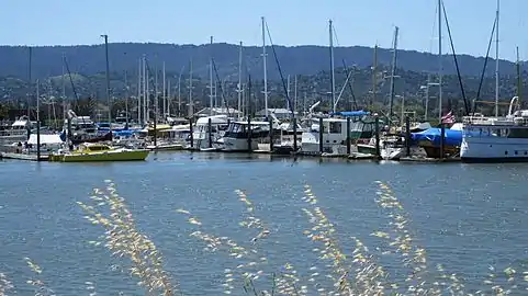 Marina along the creek