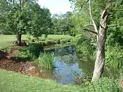 River flowing between grassy banks surrounded by trees.