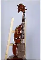 Iran. Robab, upper sound chamber covered with wood, top has frets