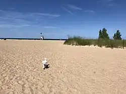 Rogers Park, (Chicago, Illinois)