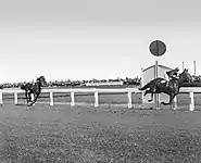 1932 Caulfield Cup finish showing the winner, Rogilla.