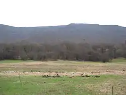 A pasture in the Vivaro Romano near Rome, Italy