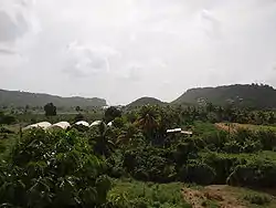 Looking west over the Roseau Valley from Roseau Combined School