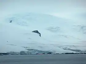 Arturo Prat Base from English Strait, with Rousseau Peak and Fuerza Aérea Glacier in the background
