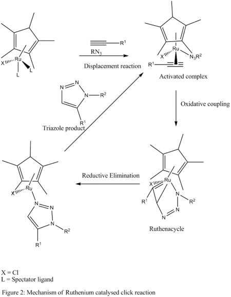 Mechanism for ruthenium-catalysed click chemistry