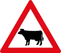 Domestic animals Crossing