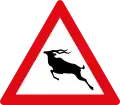 Wild animals Crossing