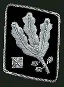 Gorget patchuntil April 1942(Allgemeine SS and Waffen-SS)