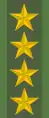 General(Swedish Army)