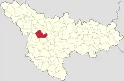 Location in Timiș County