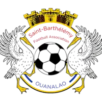 Shirt badge/Association crest