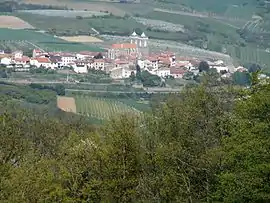 The village of Saint-Didier-sous-Riverie in the middle of orchards.