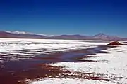 Maricunga Salt Flat with Copiapó Volcano in the distance