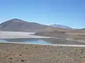 Salar de Carcote