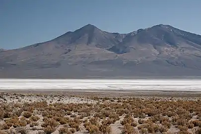 Salar de Chiguana