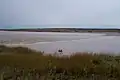 Salmon River tidal bore