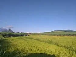 San Enrique countryside