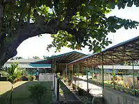 Santo Tomas Elementary School (in front of the Town Hall)