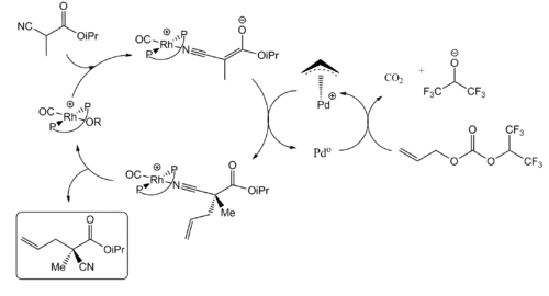 Dual transition metals catalytic cycles proposed by Sawamura et al.