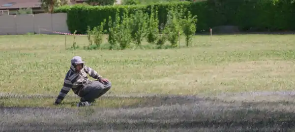 Saype (Guillaume Legros) at work for the ArtiChoke festival, 2019