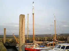 Marina at low tide