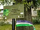 Scotlands Tree of the Year, 2015 (geograph 6240491)