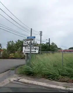 Sign for pinchos and alcapurrias, local food, for sale in Parcelas Fortuna in Mameyes I
