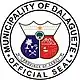 Official seal of Dalaguete