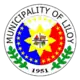 Official seal of Liloy