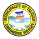 Official seal of Talusan