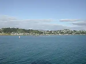 Seatoun from Wellington Harbour entrance