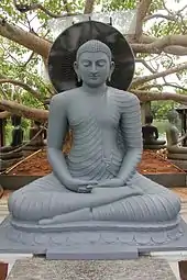 Buddha statue under the Bodhi Tree