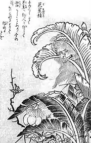 Bashōnosei (ja:芭蕉精）