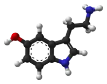 Ball-and-stick model of the serotonin molecule