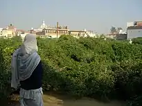 View of Seva Kunj adjoining Nidhivan