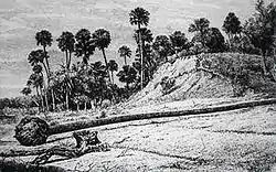 Image 21A shell midden at Enterprise, Florida in 1875. (from History of Florida)